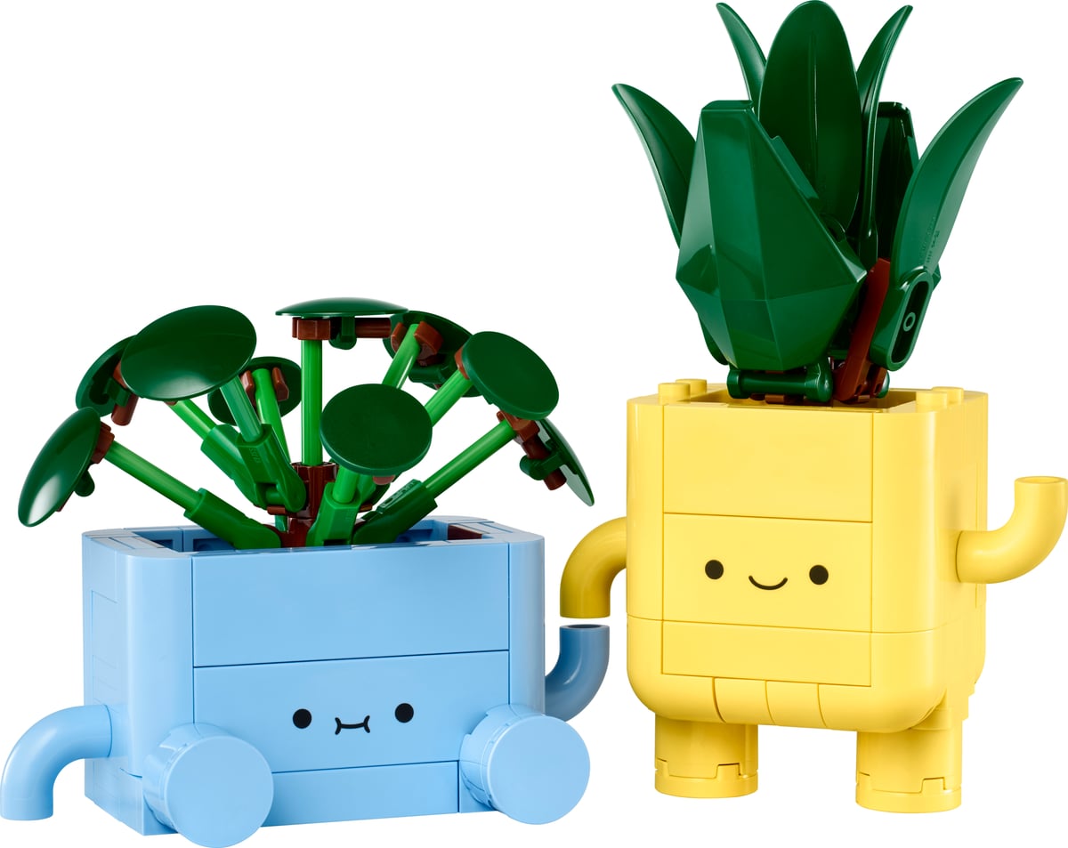 Botanicals : plantes joyeuses