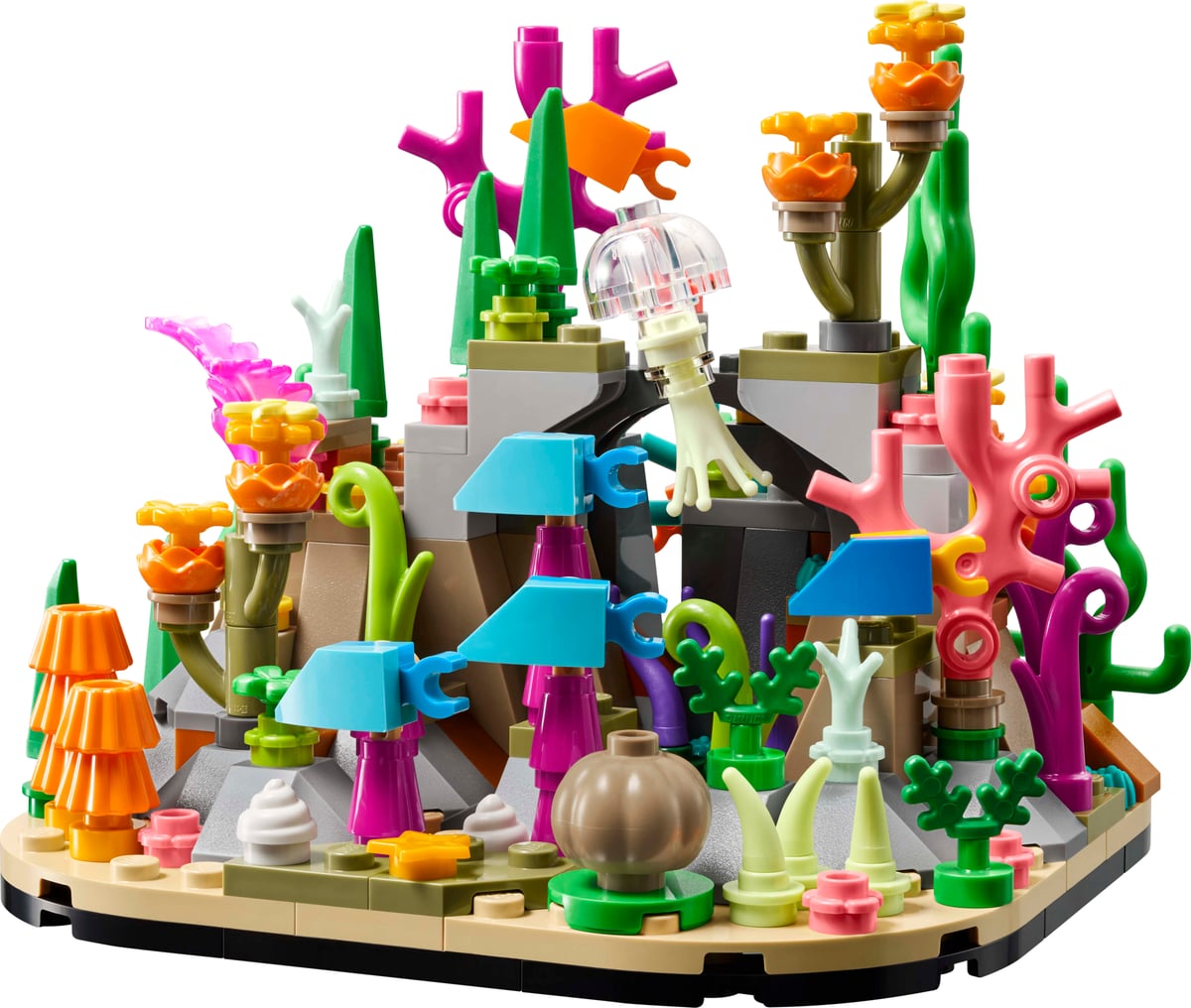 Coral Reef Diorama