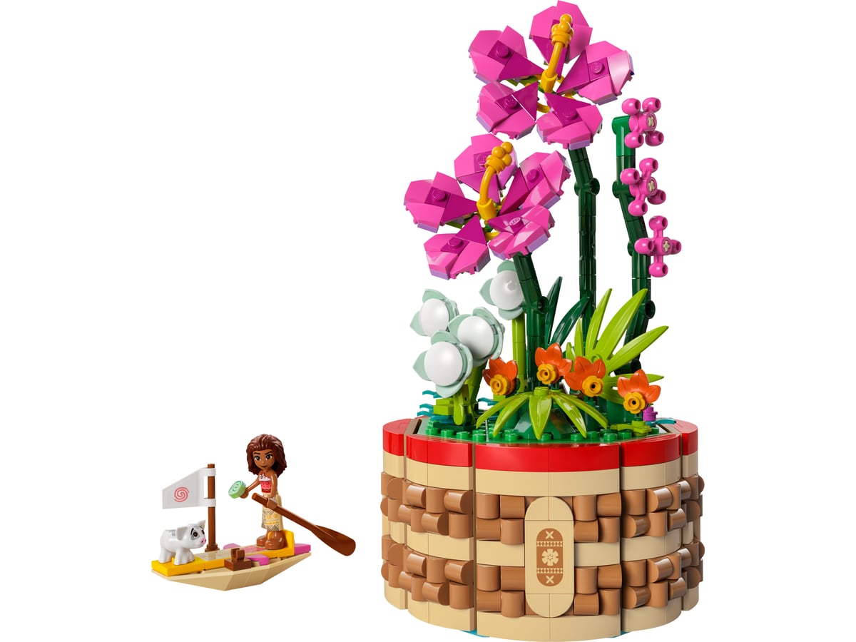 Disney : le pot de fleurs de Vaiana